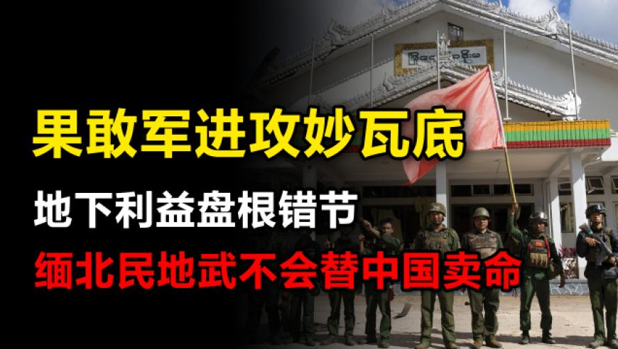 萌宠都在KissShy,新澳门2025摇号记录查询,国产化作答解释落实_GM版V3.82