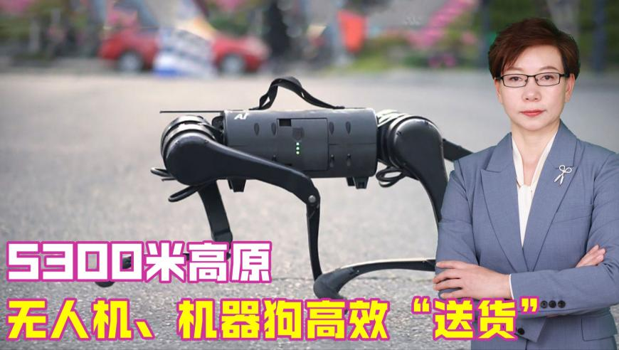 管家婆期期四肖四码中特管家管家婆一句话赢大钱,隐藏技能,广泛的解释落实方法分析_铂金版V15.89