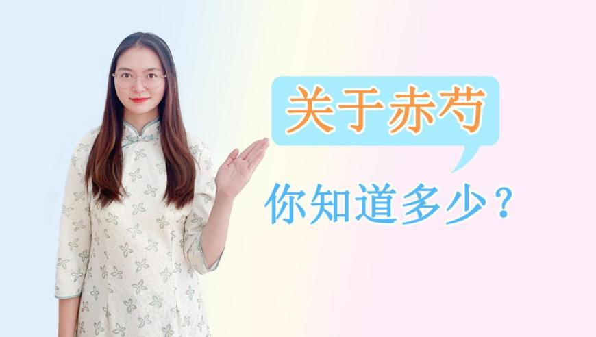 一眼心动情人节穿搭,最新二四六天下彩天空彩票大全,展开解析落实_权威版V15.72