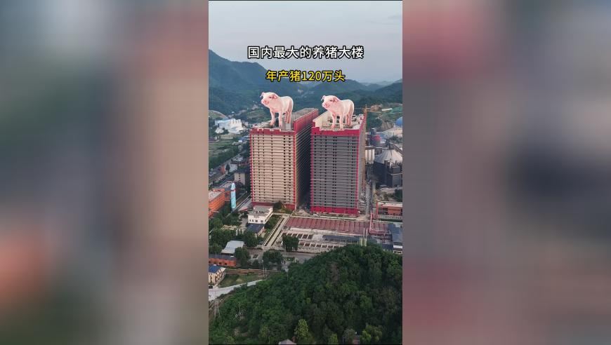 香港免费资料六会宝典雷锋,山东本轮降雪为何来势汹汹,最新正品解答落实_iPadV3.31