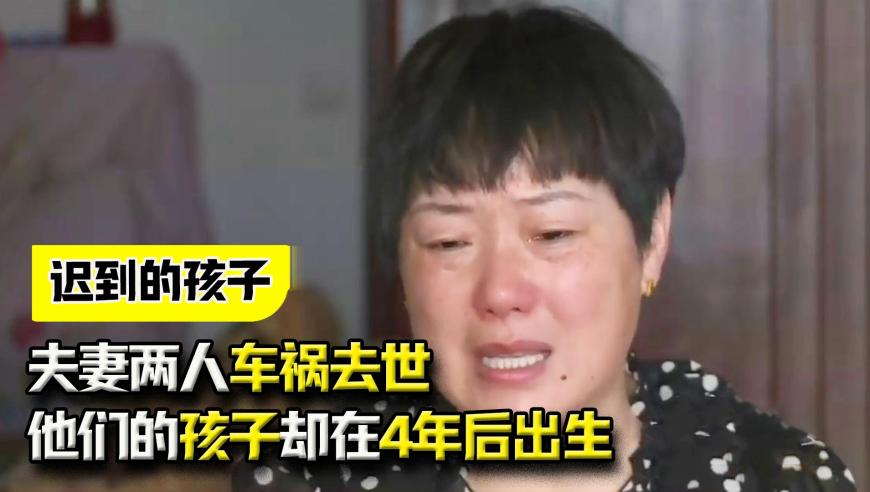 美政府效率部“换将”有何玄机,香港管家婆天地肖中特网,决策资料解释落实_影像版V1.63